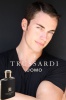Мужские ароматы Trussardi