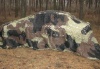 Маскировочные сети Camoscrim