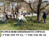 ПАКЕТ - УСЛУГ МАКСИМАЛЬНОГО СПРОСА +7 926 249-79-43 +7 926 536-40-16