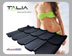 Модульная черепица Talia 30 (Талия) MAT Usinor 