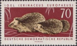 Фото deutchland ddr1963e