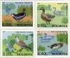 moldova1996