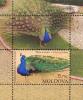 moldova2010a