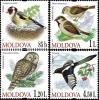 moldova2010f