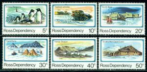 Фото ross ross1982