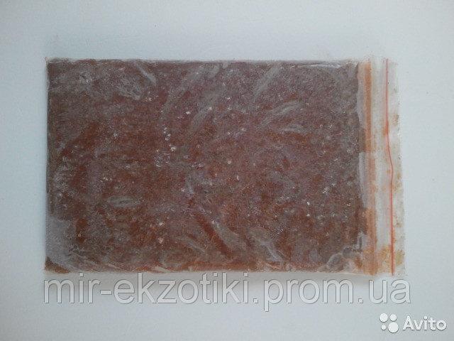 Замороженный корм для рыб дафния 100г