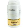 Burdock
