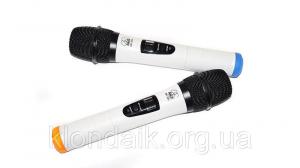 Радиосистема UHF AK-30B PRO 2 беспроводных микрофона