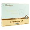 Hydrangea EX
