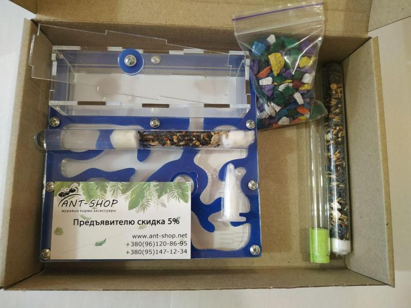 Муравьная ферма (формикарий) - Комплект для новичков 