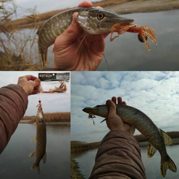 Фото  Силикон Keitech Little Spider 2