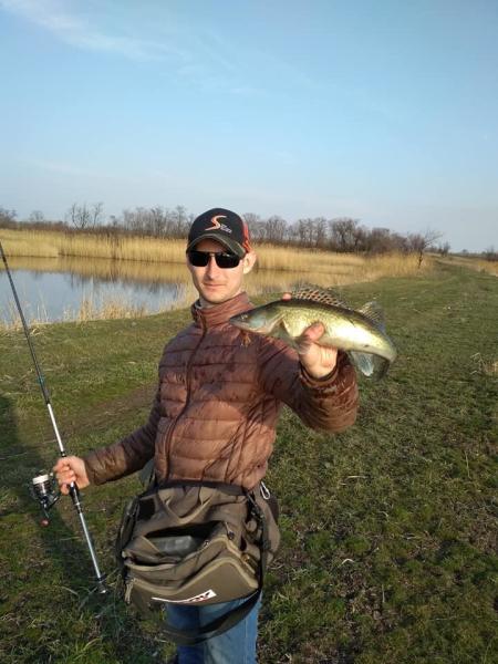 Фото  Силикон Keitech Little Spider 2