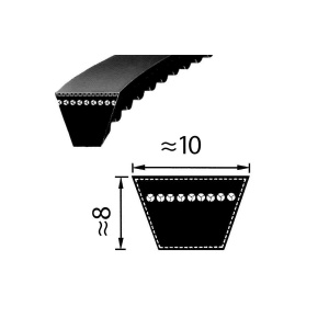 Pas AVX10 x 1000 - Optibelt