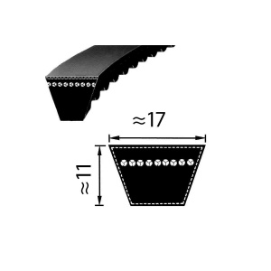 Pas BX 1056 - Optibelt