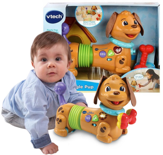 Zdjęcie Zabawki, Edukacyjne VTECH interaktywny Piesek Wędrowniczek chodzi 12m+