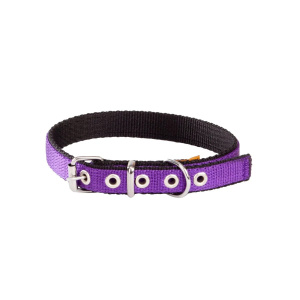 Obroża dla psa z podwójnej taśmy Dingo Energy 20mm 50cm