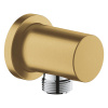 Grohe Rainshower Підключення душового шлангу (27057GN0)