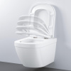  Grohe Комплект компакт + інсталяційна система Rapid SL c клавішею Skate Cosmopolitan 38772001 (39206CB0) Системи інсталяції для унітазів в Черновцах