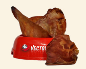 Vector-Food Ucho wieprzowe średnie 1szt