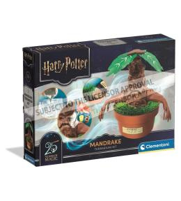 Harry Potter - Mandragora