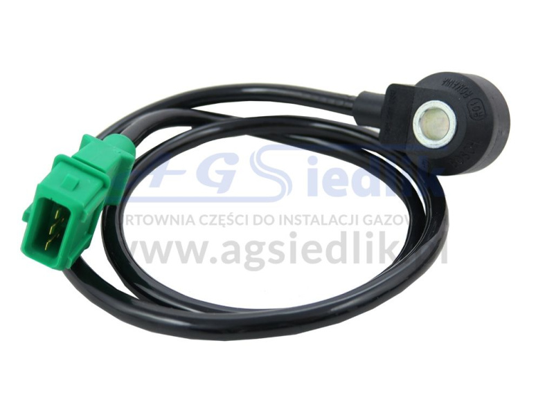 Zdjęcie Diesel Gaz, AC STAG DIESEL 4/6/8 cyl Elektronika AC STAG DIESEL-4 cyl